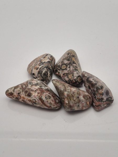 Jaspis leopardzi otoczak