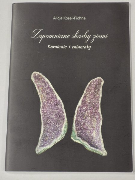 Książka "Zapomniane skarby Ziemi", Kamienie i minerały-Alicja Kosel-Fichna